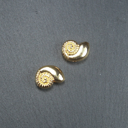 Perle Schnecke, 14 K vergoldet, 10478